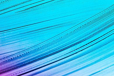 《LIGHT：Black Cat & Amnesia Girl》现已登陆Steam抢先体验